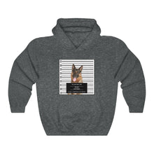Load image into Gallery viewer, Personalized Pet Crime Mugshot - Hoodie