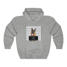 Load image into Gallery viewer, Personalized Pet Crime Mugshot - Hoodie