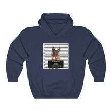 Load image into Gallery viewer, Personalized Pet Crime Mugshot - Hoodie
