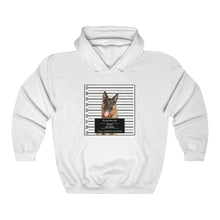 Load image into Gallery viewer, Personalized Pet Crime Mugshot - Hoodie
