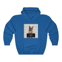 Load image into Gallery viewer, Personalized Pet Crime Mugshot - Hoodie
