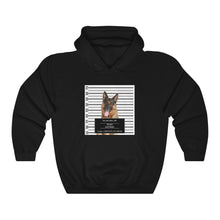 Load image into Gallery viewer, Personalized Pet Crime Mugshot - Hoodie
